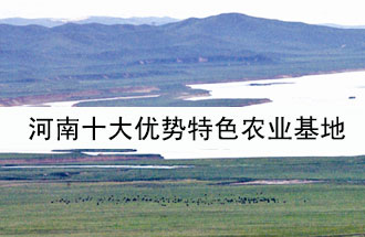 8月19日，河南省政府發(fā)布了關(guān)于深入推進(jìn)農(nóng)業(yè)供給側(cè)結(jié)構(gòu)性改革 大力發(fā)展優(yōu)勢(shì)特色農(nóng)業(yè)的意見(jiàn)