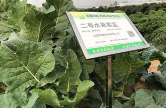 10月23日，中國(guó)（鄭州）種業(yè)博覽會(huì)將在河南省鄭州市中牟縣官渡鎮(zhèn)鄉(xiāng)謠農(nóng)場(chǎng)舉辦
