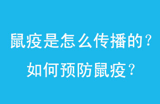 鼠疫是怎么傳播的？如何預(yù)防鼠疫？